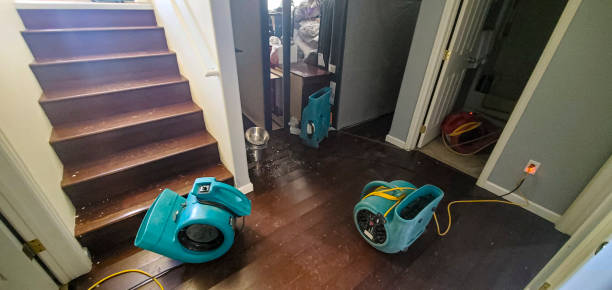 Best Water damage contractors near me  in Alamogordo, NM