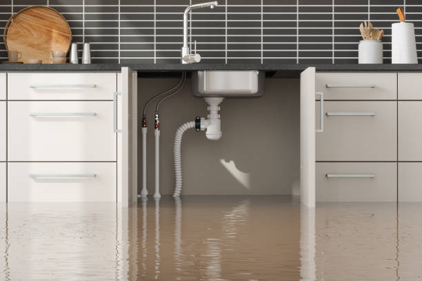 Best Water damage cleanup near me  in Alamogordo, NM